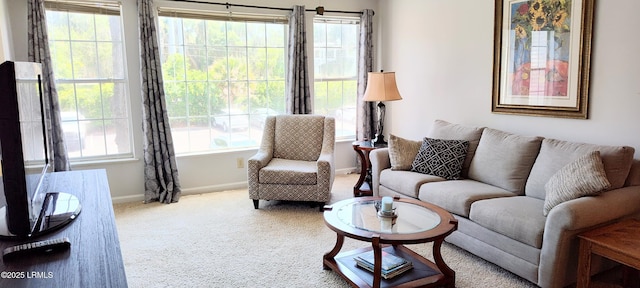 1231 Ladys Island Dr Unit 221, Port Royal, SC 29935 - living room with carpet and baseboards