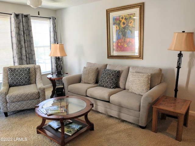 1231 Ladys Island Dr Unit 221, Port Royal, SC 29935 - living room featuring carpet floors