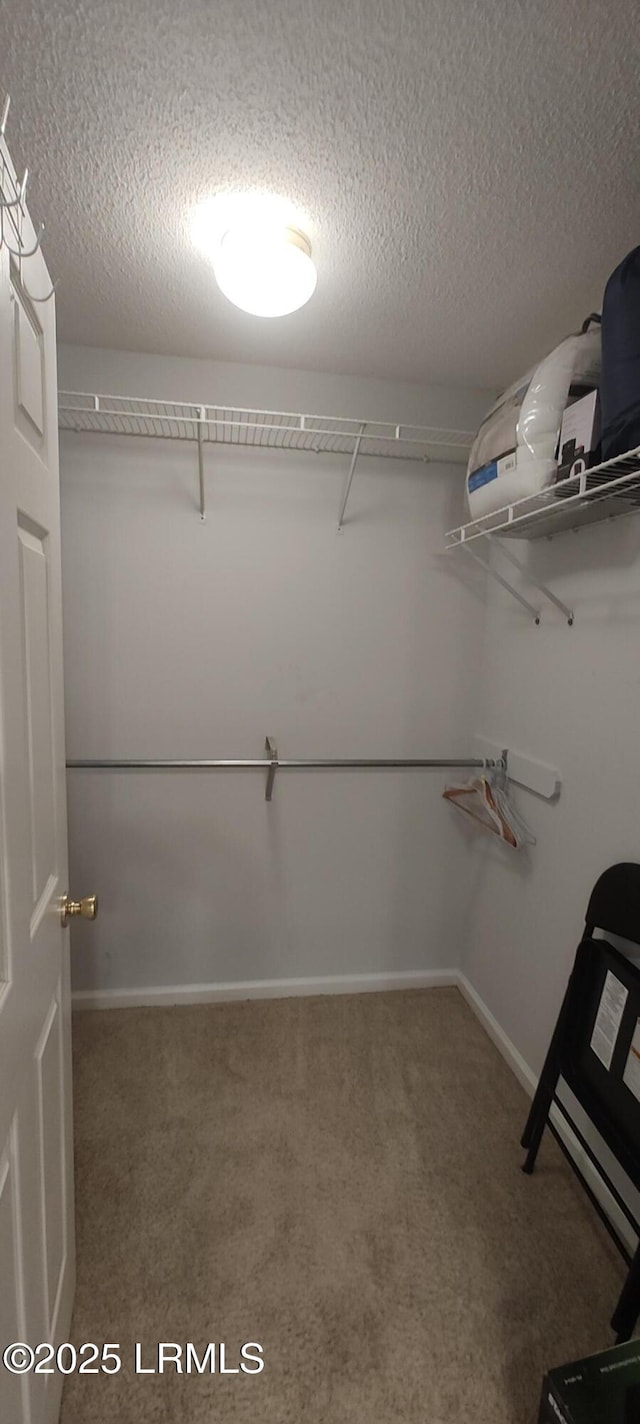 1231 Ladys Island Dr Unit 221, Port Royal, SC 29935 - walk in closet featuring carpet floors