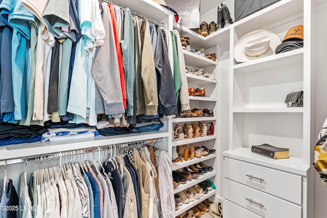 view of spacious closet