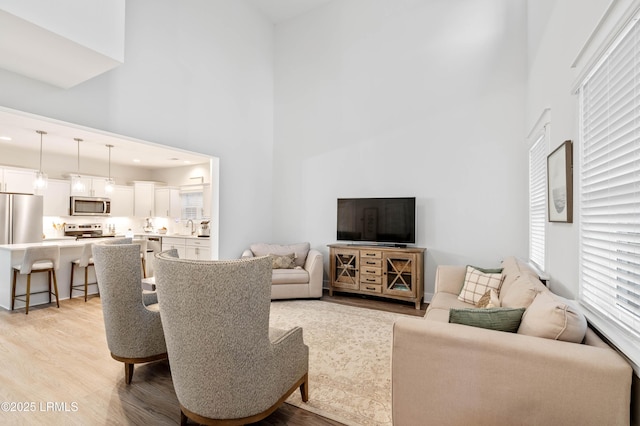 living area with light wood finished floors and a towering ceiling