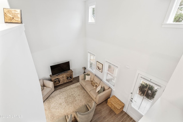 living area featuring a high ceiling and wood finished floors