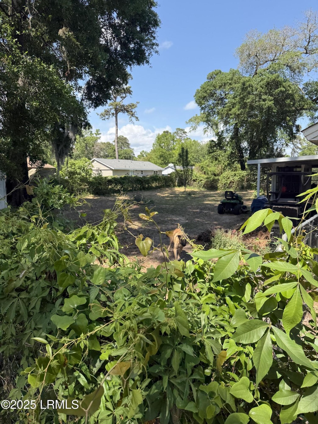 4001 Cedarbrook St, Beaufort, SC 29906 - view of yard