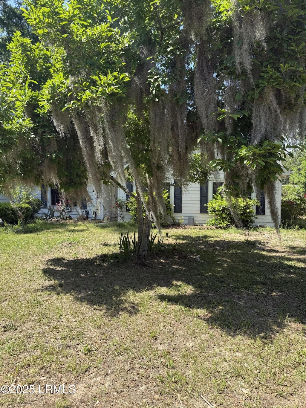 4001 Cedarbrook St, Beaufort, SC 29906 - view of grassy yard