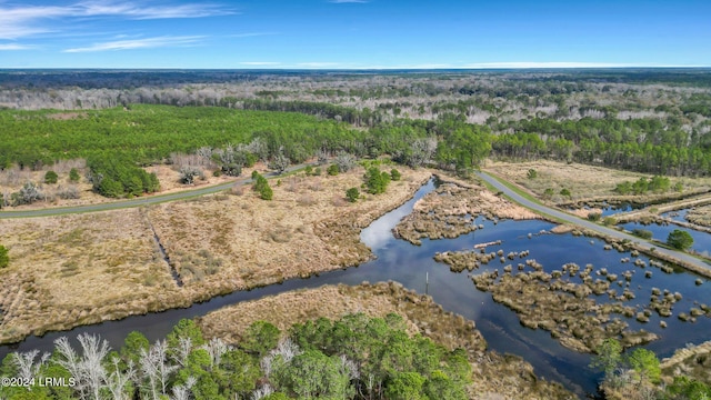 1513 Hunters Loop S, Hardeeville, SC 29927