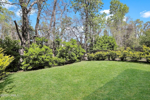 view of yard