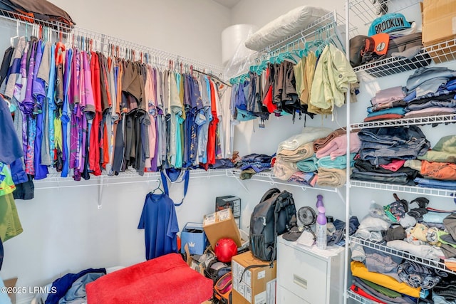 view of spacious closet