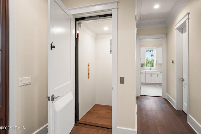 hallway featuring ornamental molding, dark wood-type flooring, and sink