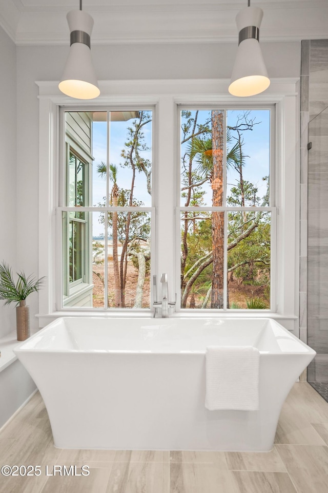 bathroom with a tub, crown molding, and a wealth of natural light