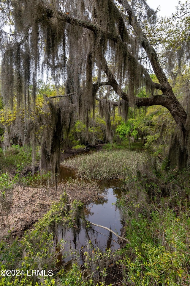 Listing photo 3 for 1711 Salem Rd, Beaufort SC 29902