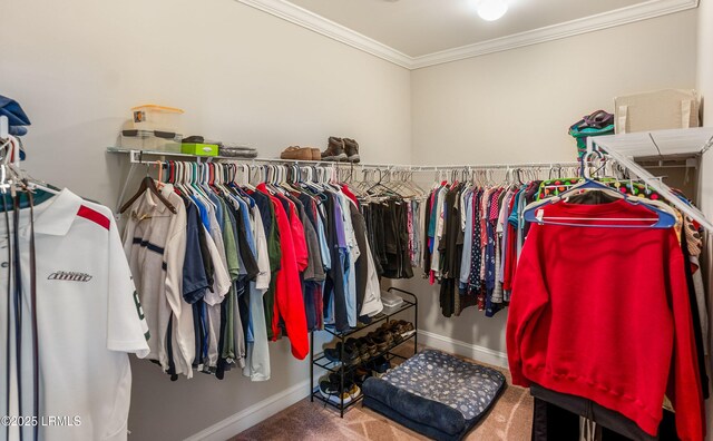 spacious closet with carpet floors