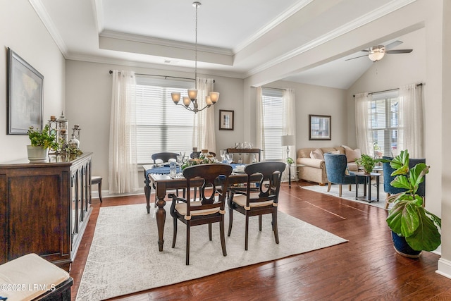 dining room featuring ceiling fan with notable chandelier, a raised ceiling, dark wood-style flooring, and crown molding