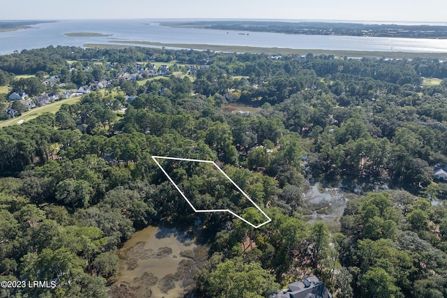 2 Fiddler Pond Loop, Beaufort SC, 29907 land for sale