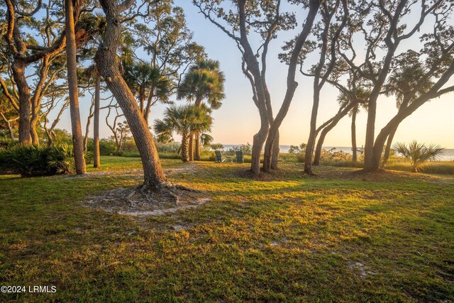 view of yard at dusk