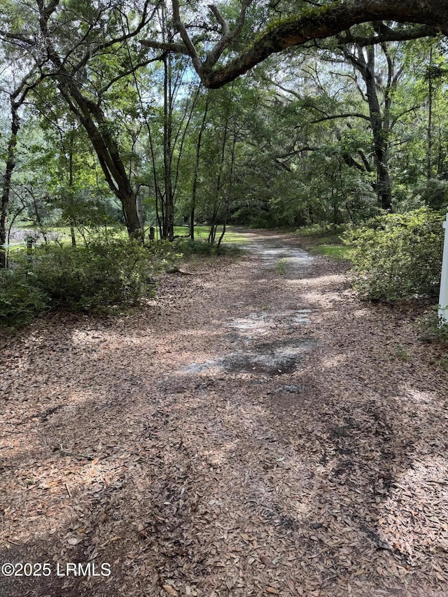 485 Corner Lake Rd, Early Branch, SC 29916