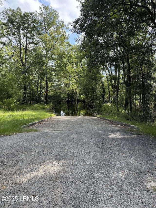 485 Corner Lake Rd, Early Branch, SC 29916