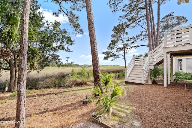 view of yard featuring stairs