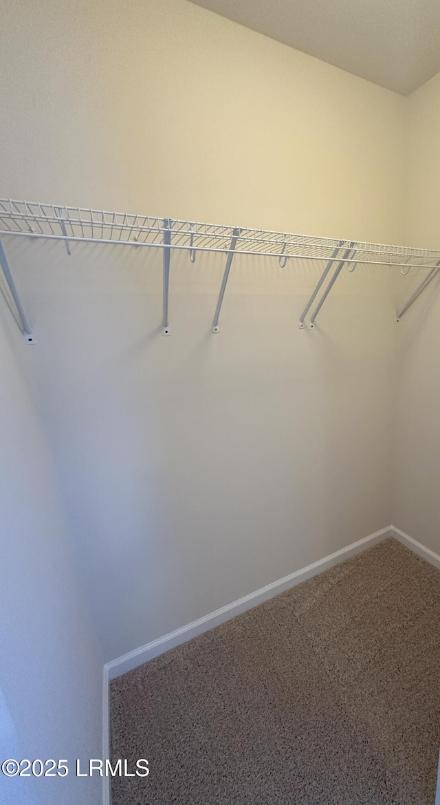 walk in closet featuring carpet floors