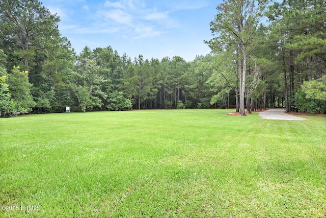 164 Paige Point Blf, Seabrook, SC 29940 - photo 45
