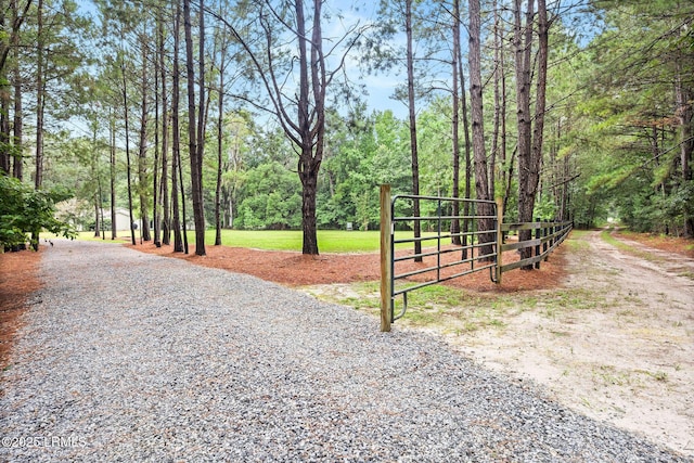 164 Paige Point Blf, Seabrook, SC 29940 - photo 38
