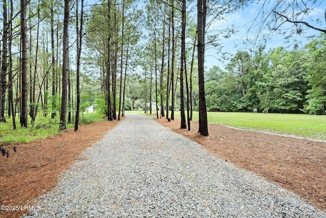 164 Paige Point Blf, Seabrook, SC 29940 - photo 39