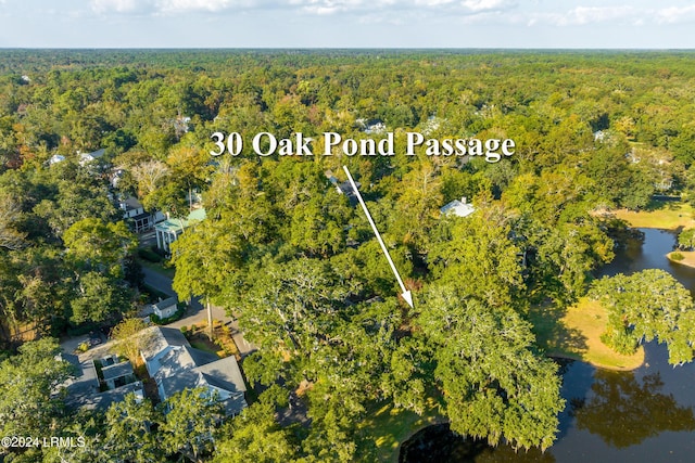 Listing photo 3 for 30 Oak Pond Psge, Beaufort SC 29906