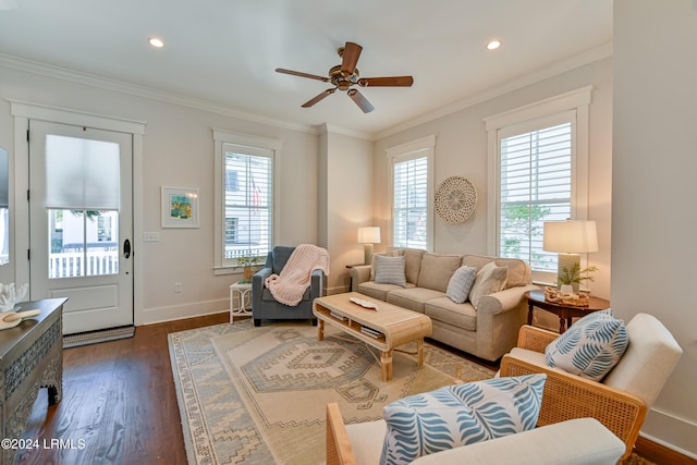 living room with ornamental molding, dark wood-type flooring, and ceiling fan