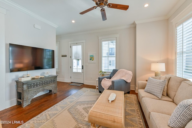 living room with ceiling fan, ornamental molding, and dark hardwood / wood-style floors