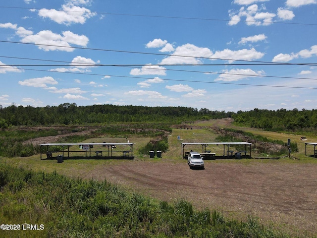TBD Pocotaligo Rd, Yemassee, SC 29945 - photo 2