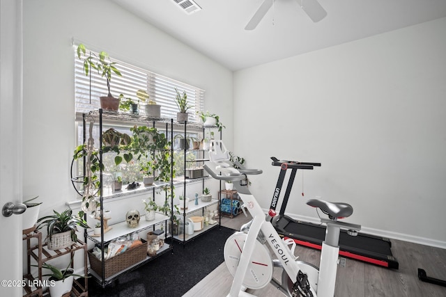 workout area with ceiling fan, wood finished floors, visible vents, and baseboards