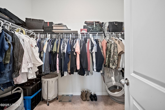 spacious closet with carpet flooring