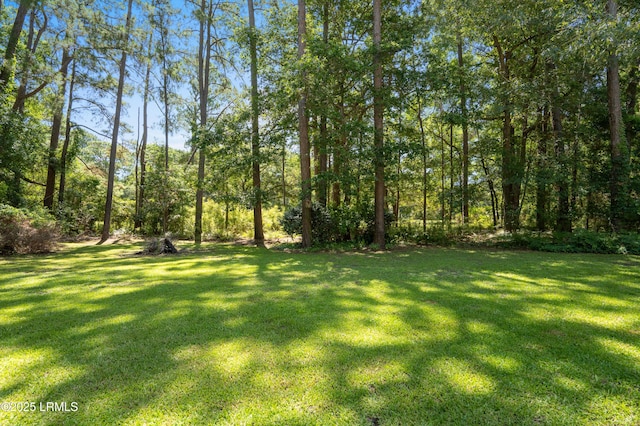 34 Thomas Sumter St, Beaufort, SC 29907 - photo 51