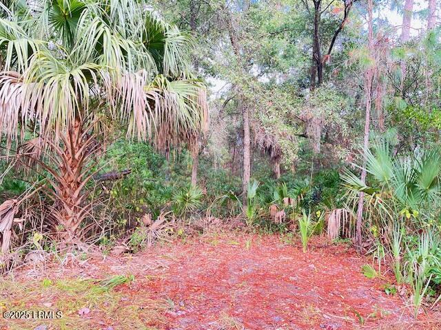 10 Ocean Marsh Ct, Saint Helena Island SC, 29920 land for sale