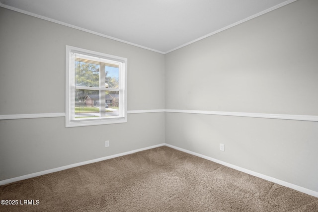 carpeted spare room with baseboards and crown molding