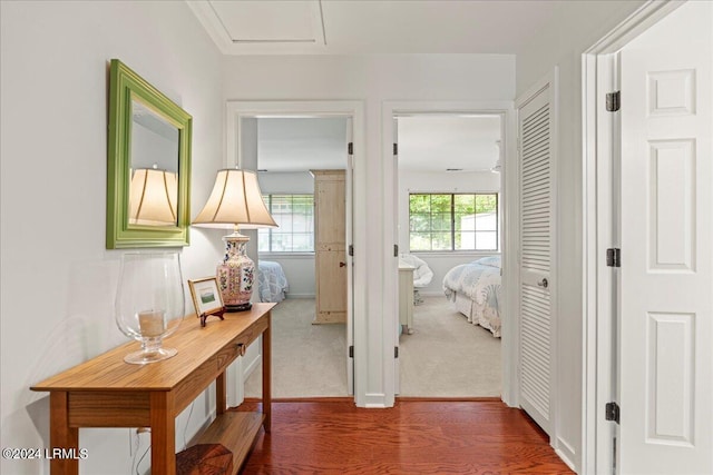 hallway featuring dark carpet and a wealth of natural light