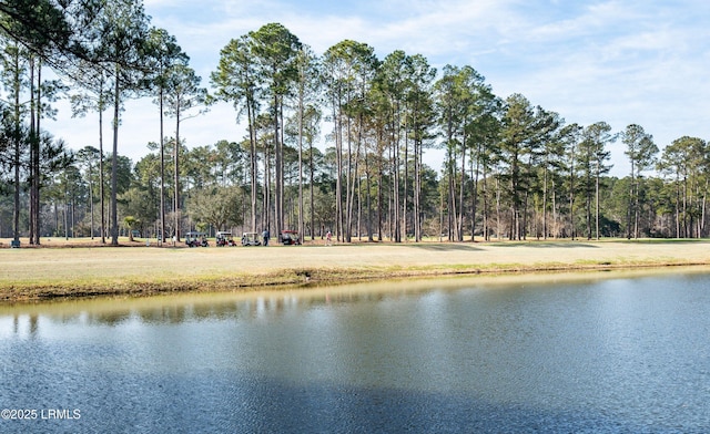 view of water feature