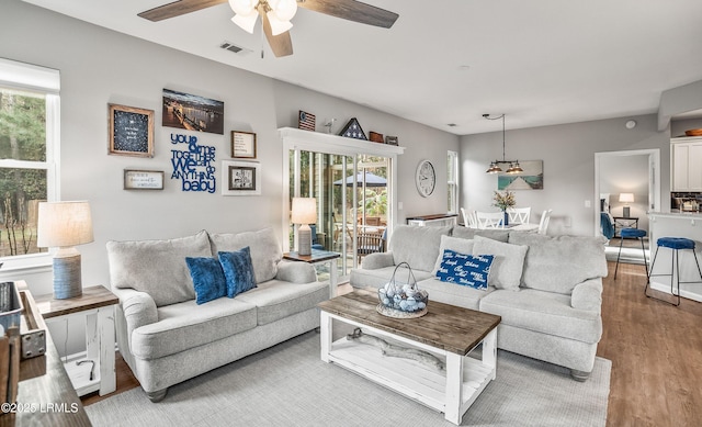 living room with hardwood / wood-style floors, a wealth of natural light, and ceiling fan