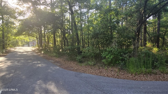 Tbd Gator Lane, Lady'S Island, SC 29907