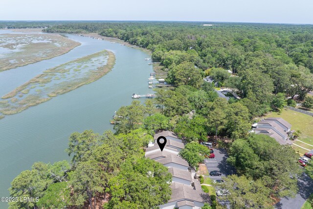 4 Marsh Harbor Dr Unit D, Beaufort, SC 29907 - aerial view of a heavily wooded area and a large body of water