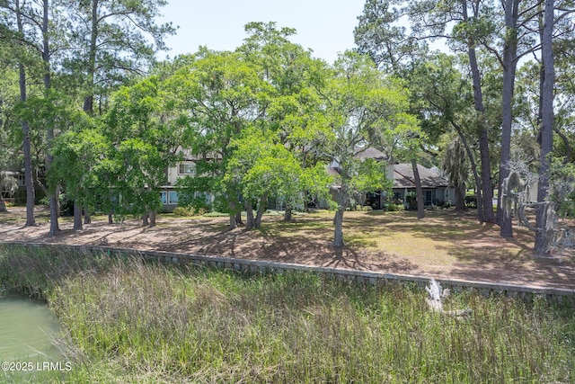 4 Marsh Harbor Dr Unit D, Beaufort, SC 29907 - view of yard