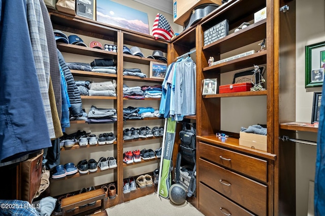 view of walk in closet