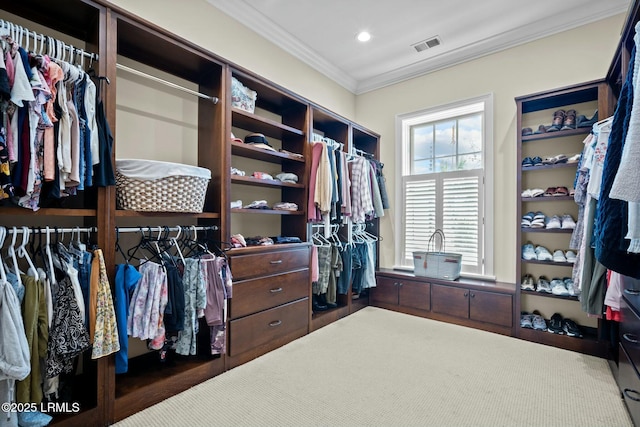 view of spacious closet