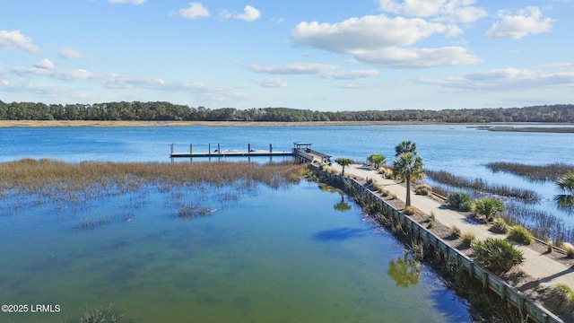 view of dock with a water view