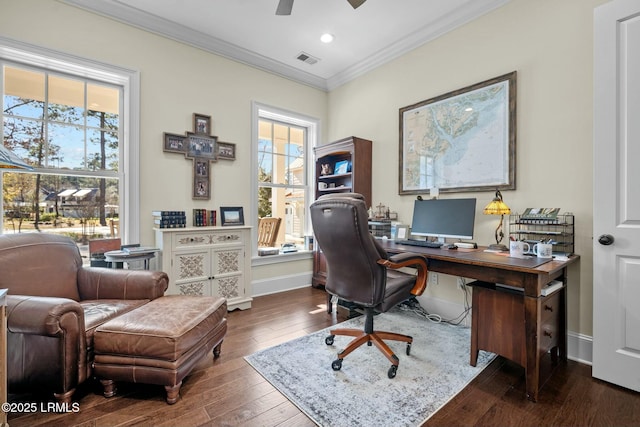 office space featuring crown molding, ceiling fan, and dark hardwood / wood-style flooring