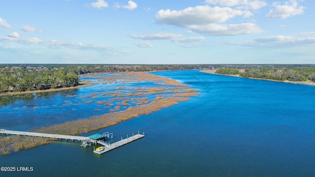 water view featuring a dock