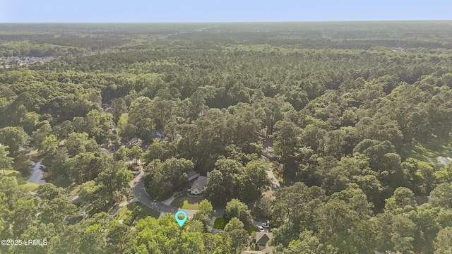 5 Canebrake Ln, Bluffton, SC 29910 - aerial view of property's location featuring a forest