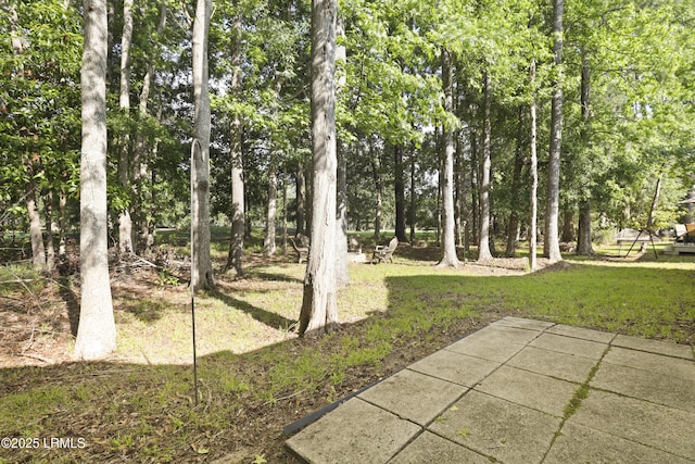 5 Canebrake Ln, Bluffton, SC 29910 - view of green lawn featuring view of scattered trees