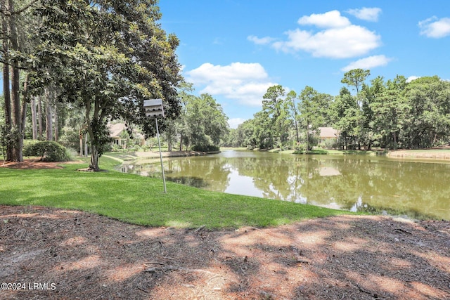 view of water feature