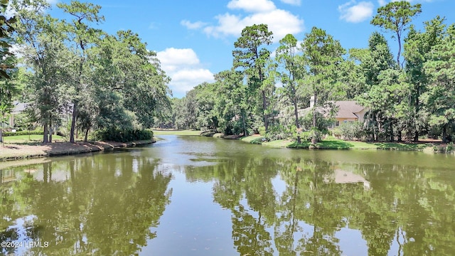 property view of water