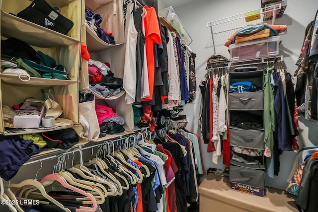 view of spacious closet